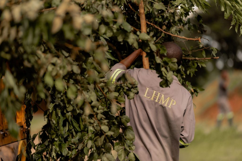 leopardshillmemorialpark2023 33 scaled