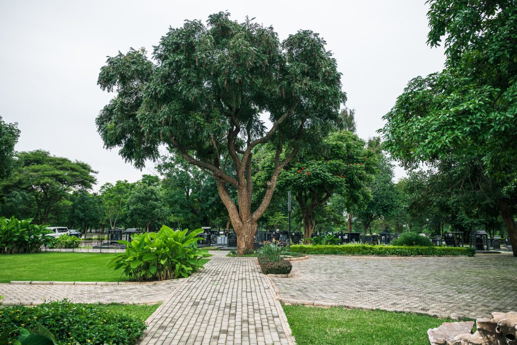 leopardshillmemorialpark 11