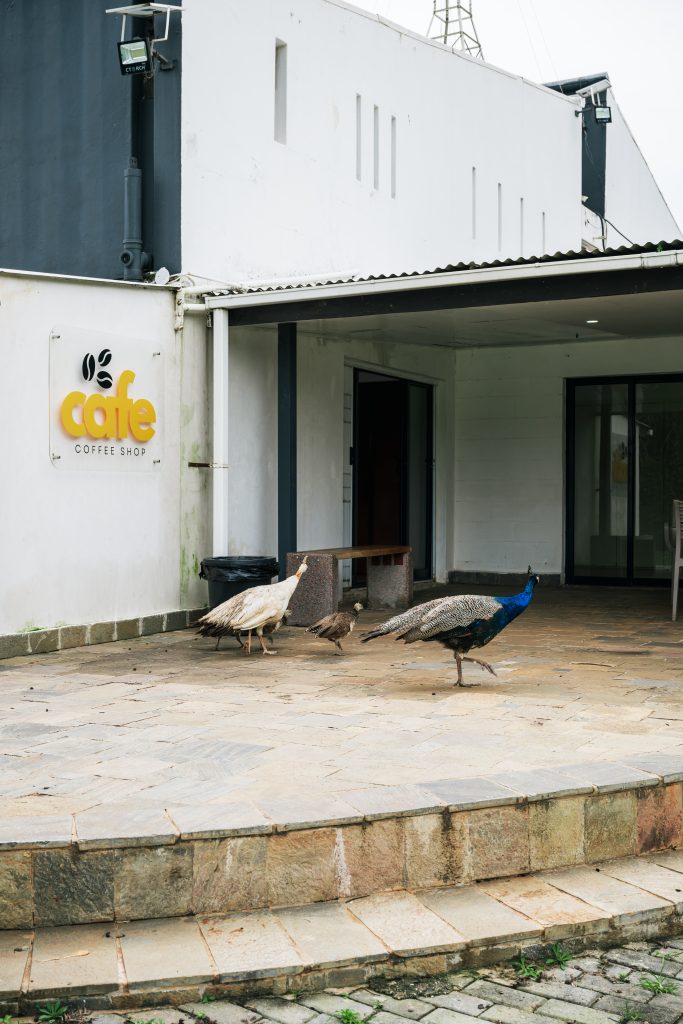 leopardshillmemorialpark 20